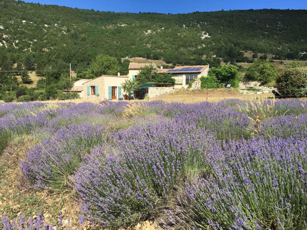 Bed and Breakfast Le Jas Du Mont Ventoux Sault Exterior foto